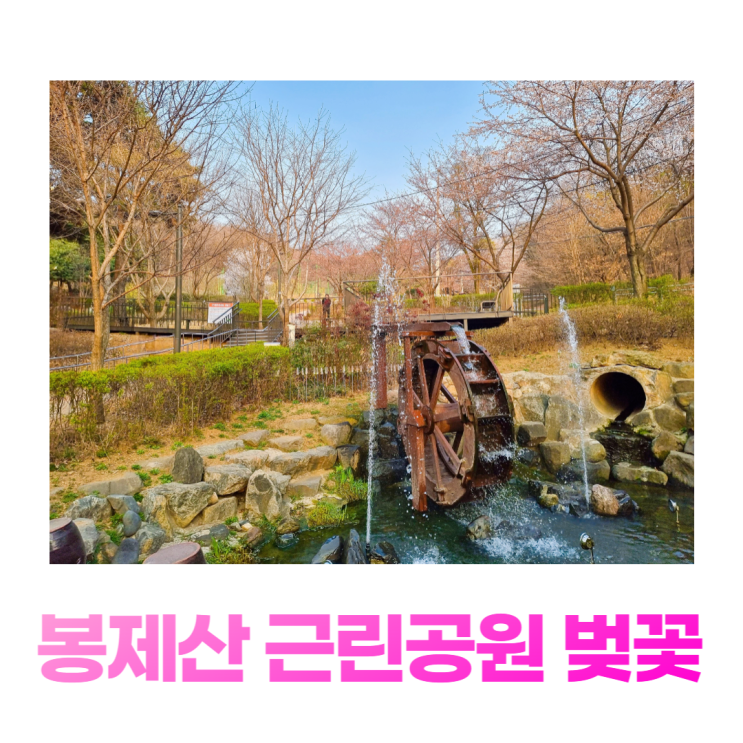 서울 강서구 2023 벚꽃 봉제산 근린공원 둘레길
