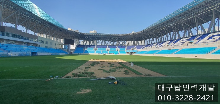  대구직업소개소 대구FC 축구장 잔디교체작업 다녀왔습니다.
