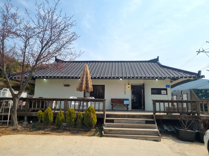홍담
