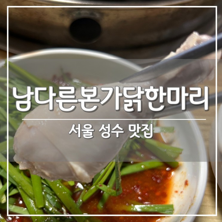 서울 성수동 맛집, 말복처럼 몸보신하는 찐맛집 '남다른본가닭한마리 성수점'