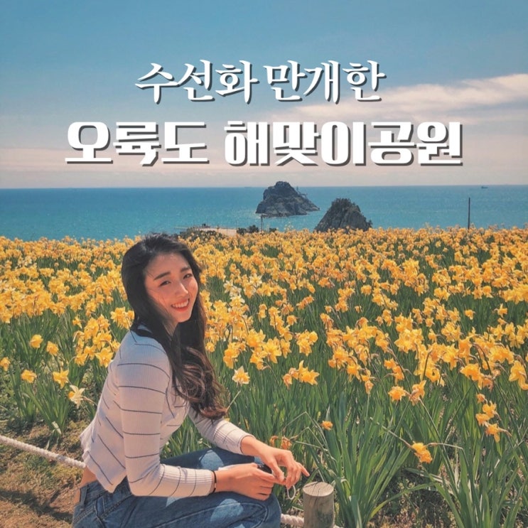  오륙도 해맞이공원 수선화, 유채꽃 보러 갈 때 주차 & 사진 TIP