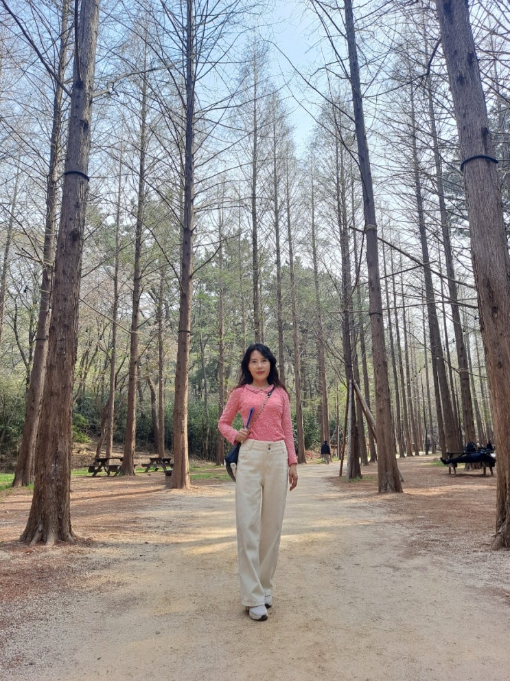  87일 산책하는 길목에서