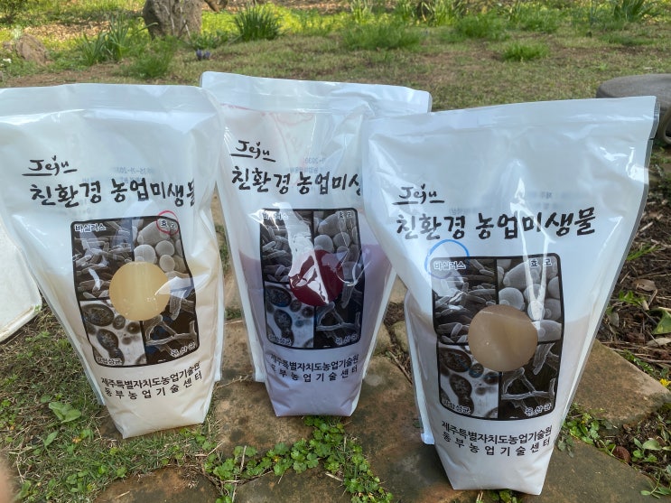 가시리 유기농감귤밭 로만토피아 동부농업기술센터 미생물 가시리 유기농감귤밭 로만토피아 동부농업기술센터 미생물