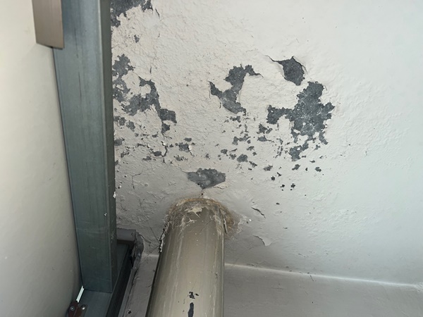 분당 구미동 아파트 우수관 누수 - 베란다 천장에 페인트가 떨어지고 물이 새는데..
