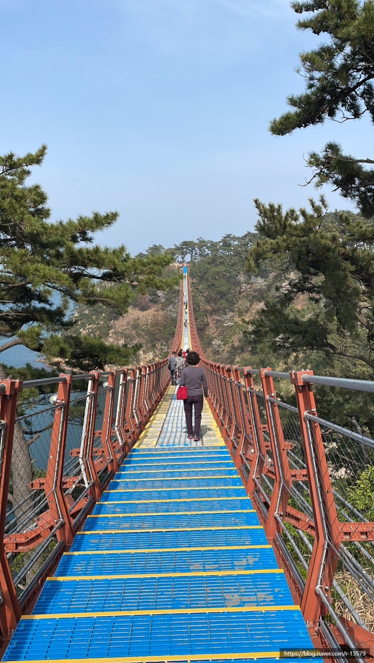출렁다리가 있는 울산 대왕암공원, 반려견 산책