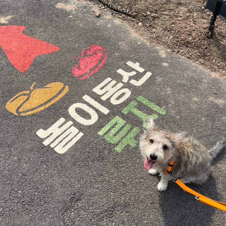  충북 | 증평 | 강아지랑 가기엔 글쎄용? [벨포레]