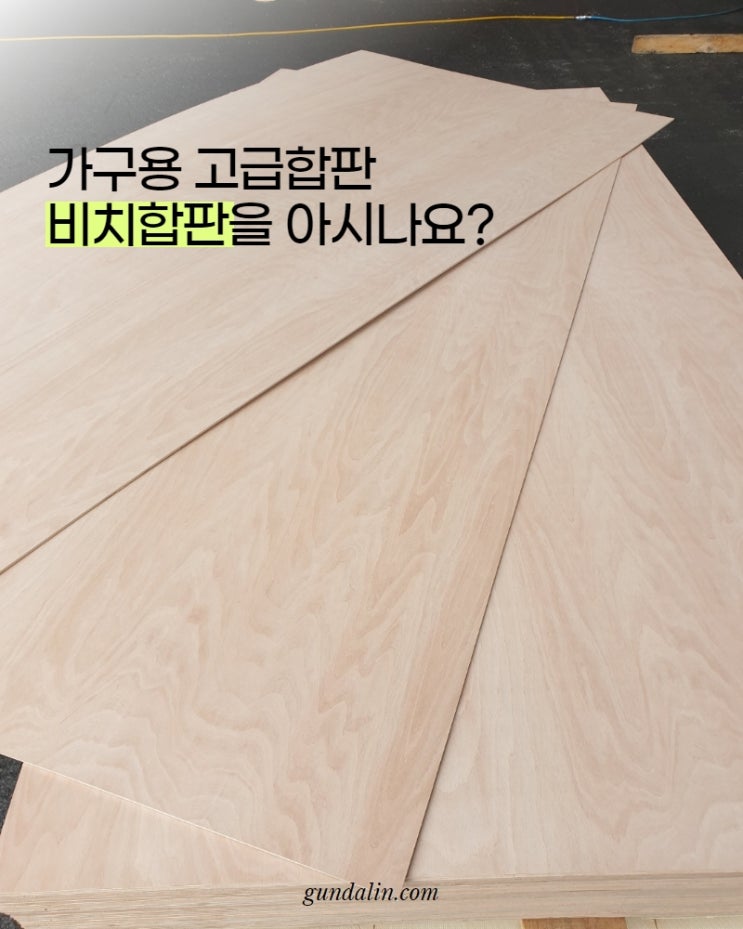  가구용 합판, 비치합판을 아시나요? (ft.자작나무와의 차이점은?)