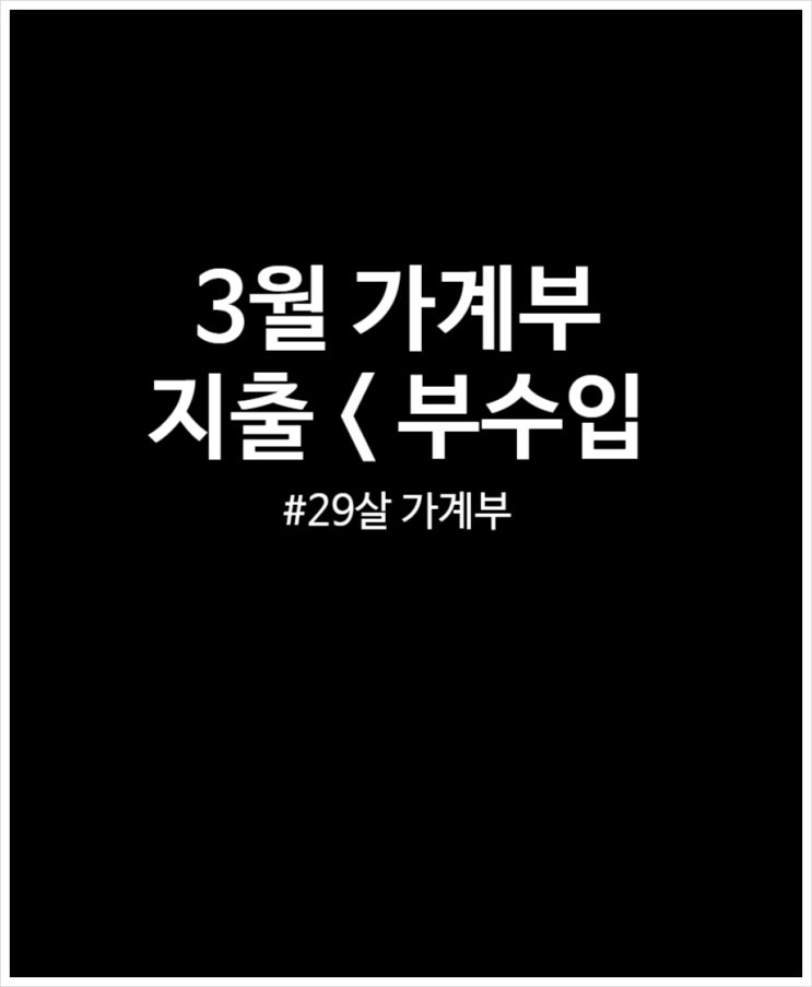  3월 가계부 20대 직장인 지출 부수입 결산