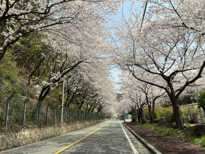 사진 5