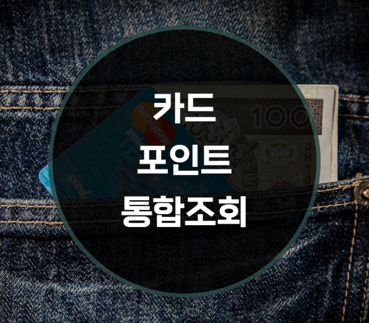  롯데, 현대, 신한, 국민 카드포인트 통합조회