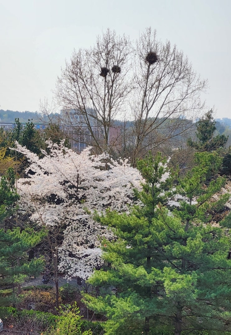 주님을 사랑하기에 주님을 따릅니다.