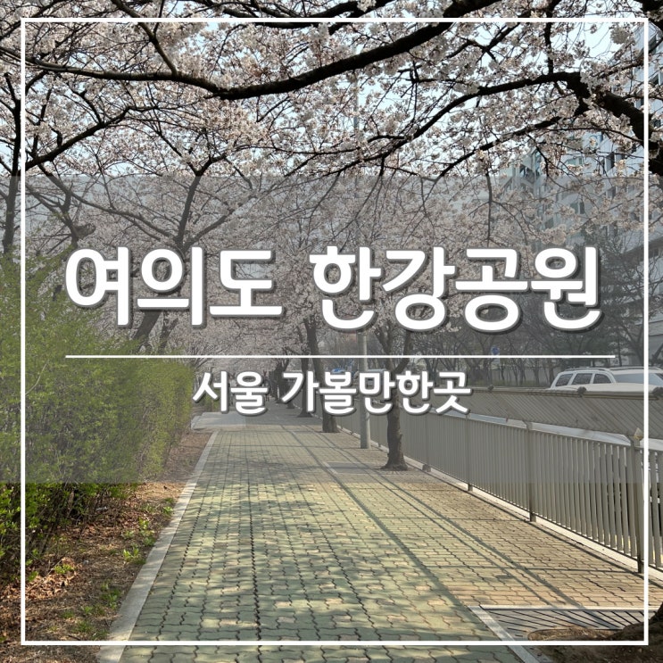 서울 연인이랑 가볼만한곳, '여의도 한강공원' 돗자리 피크닉 & 실시간 벚꽃 개화 정보