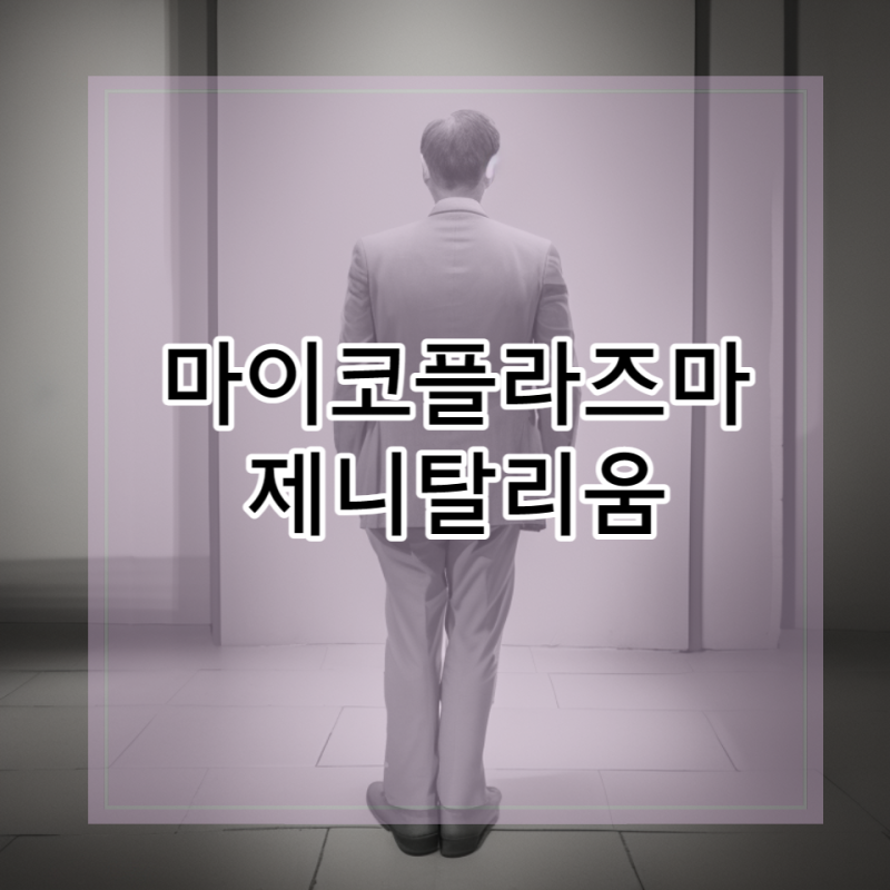 마이코플라즈마 제니탈리움 원인 잠복기와 치료방법