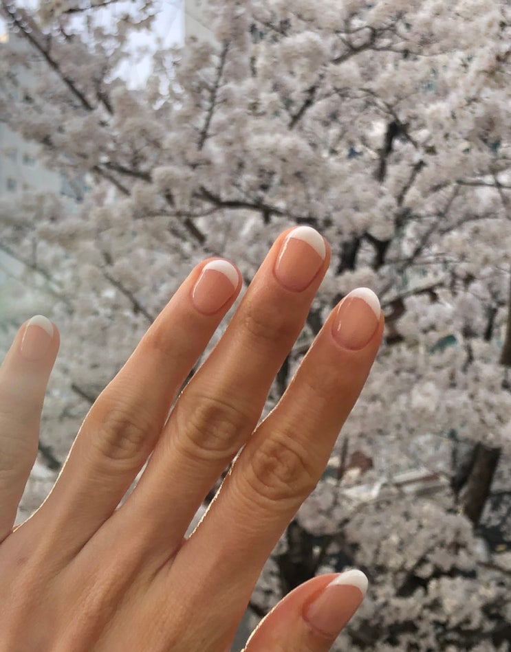  인계동 네일 프렌치로 상큼하게 변신 젤리샵네일