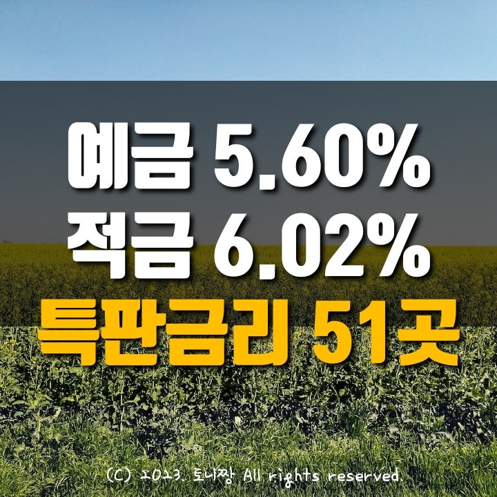 오늘의 예금특판 5.6% 적금특판 6.02% 서울축산 한강 후암동 제주서부 성수1가 구미원남 상모 새마을금고