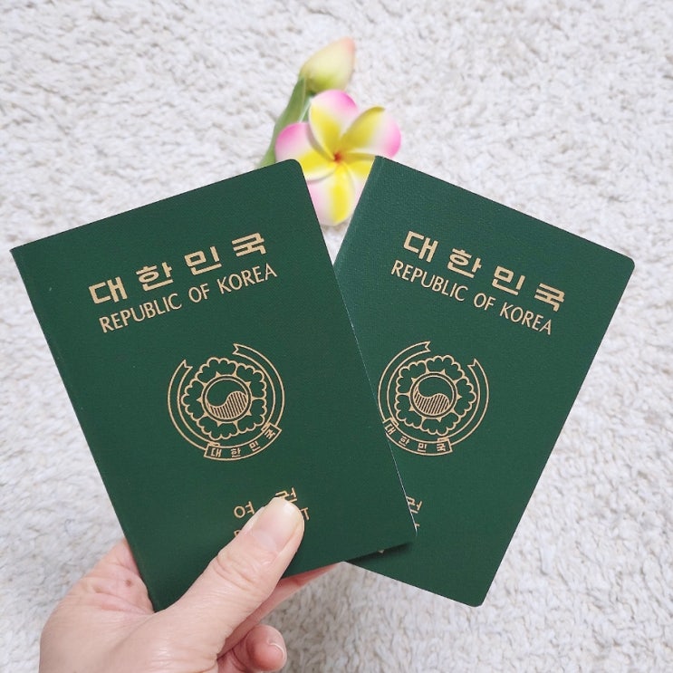  미성년자 여권 재발급하기법정대리인 신청