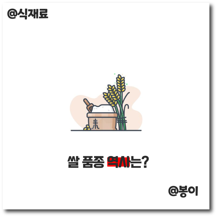  쌀의 족보,역사, 품종에 대해 알아보자! : 골라 먹는 재미!
