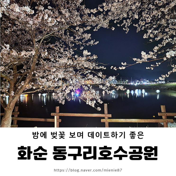  [광주 전남 벚꽃 데이트] 밤에도 야경이 너무 예쁜 화순 동구리 호수 공원 + 4/1 실시간 개화 상황