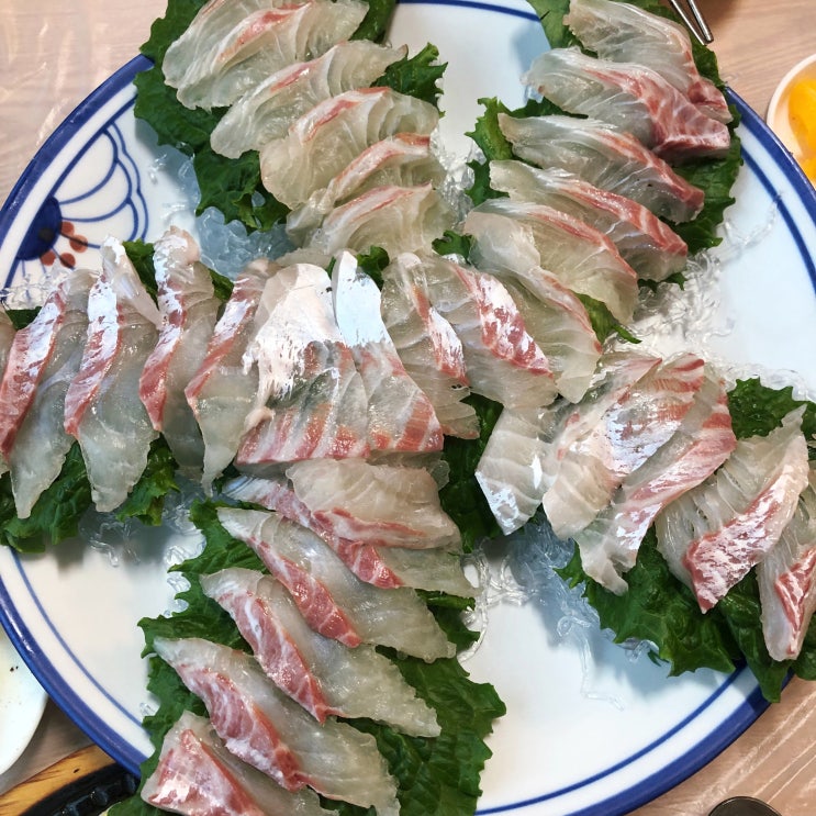  선학동 횟집 힘찬수산 항상 대만족하는 맛집