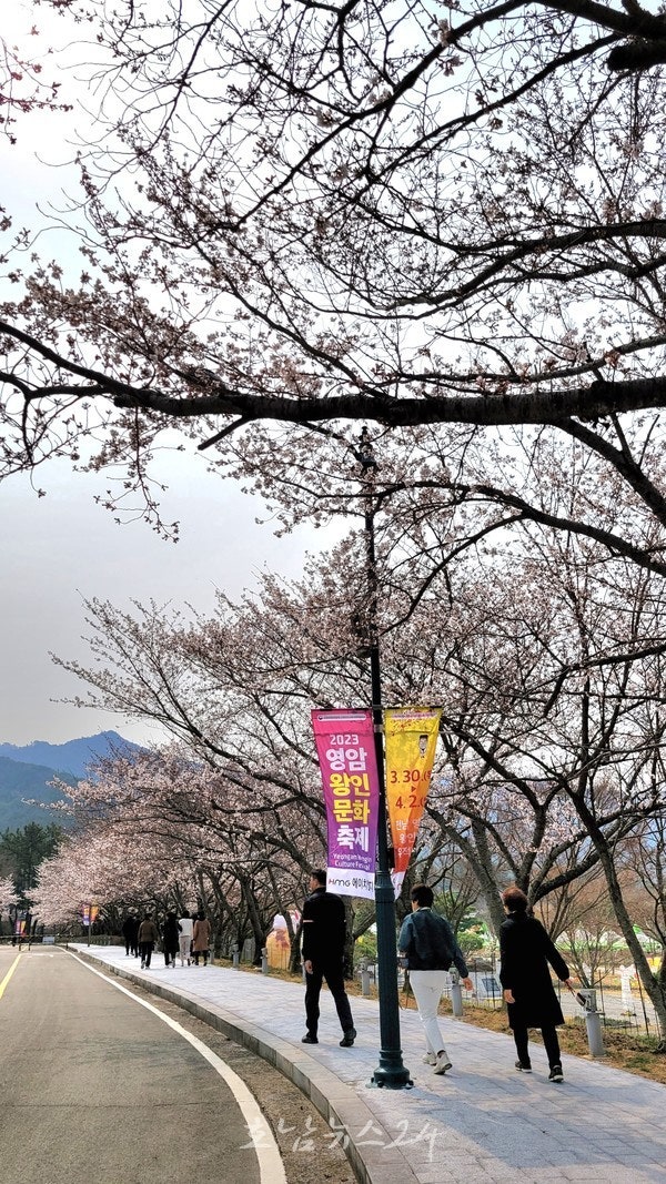 영암군, 30일 2023 왕인문화축제 개막.. 포근한 날씨 속 대성황