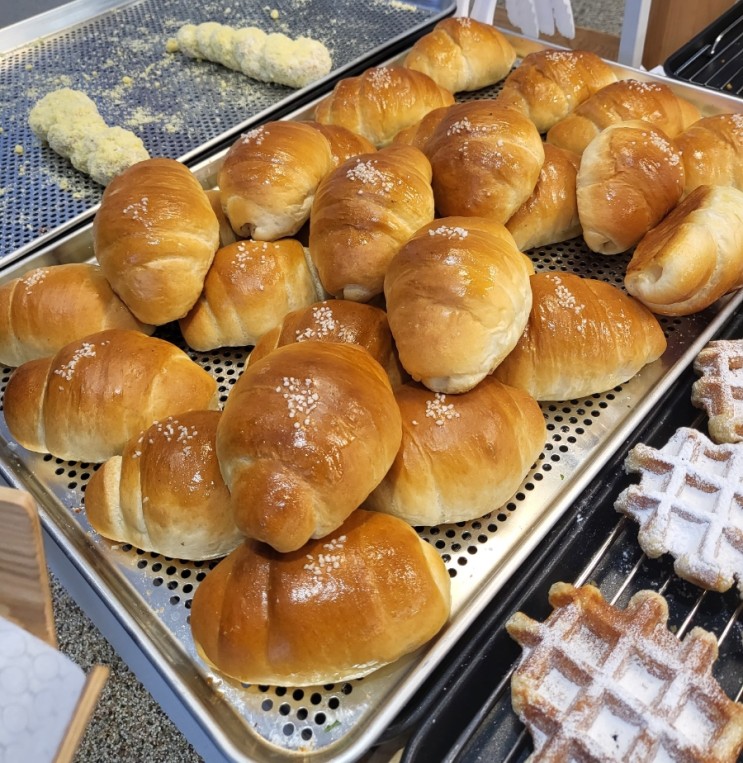 [브레댄코]소금빵이 맛있는 당진 시청 베이커리 카페