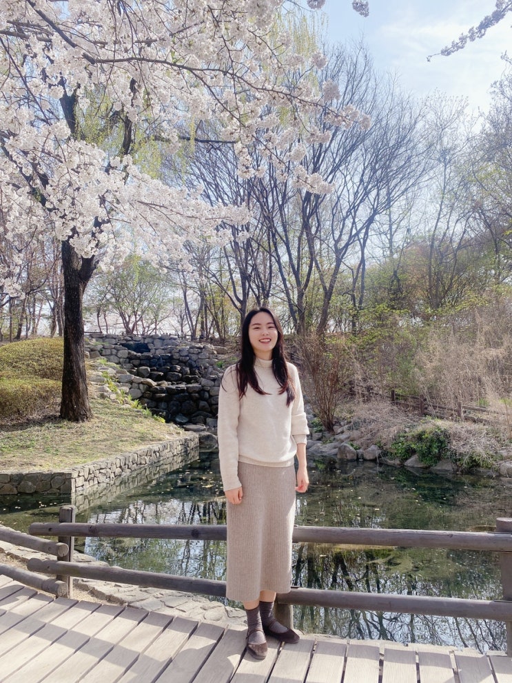  서울숲 벚꽃 포토존 인생샷 찍기 꿀팁 3/30 방문