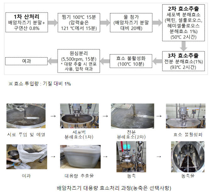 배암차즈기 항산화 성분은 늘리고 쓴맛은 줄이는 기술 개발 배암차즈기 항산화 성분은 늘리고 쓴맛은 줄이는 기술 개발