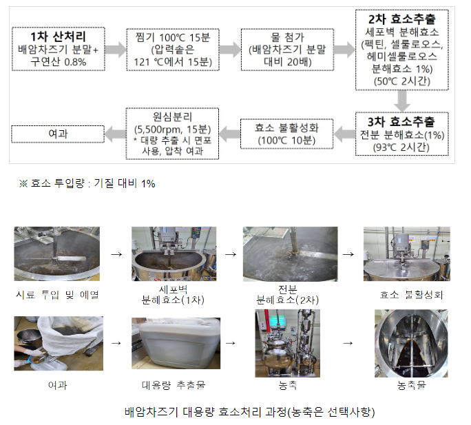 배암차즈기 항산화 성분은 늘리고 쓴맛은 줄이는 기술 개발