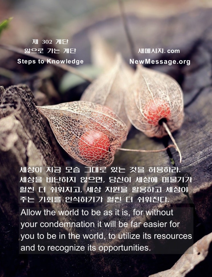 제 302 계단: 나는 오늘 세상에 저항하지 않을 것이다 I will not resist the world today. 제 302 계단: 나는 오늘 세상에 저항하지 않을 것이다 I will not resist the world today.