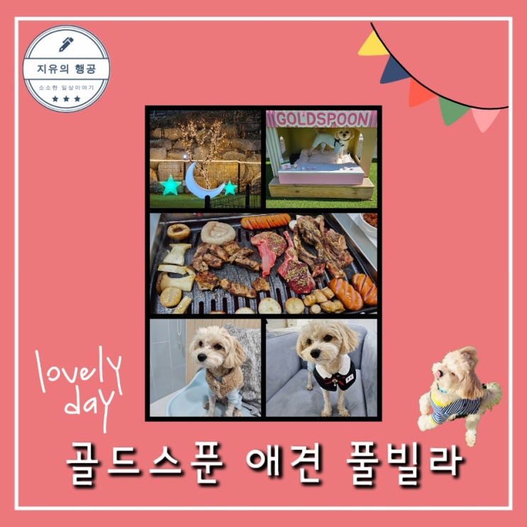  가평 골드스푼 애견 풀빌라ㅣ102동 독채 펜션 내돈내산