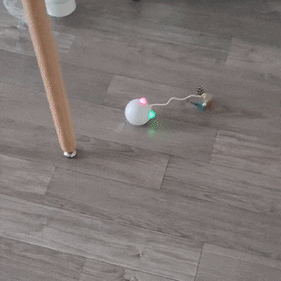  우리집 고양이 주인님을 위한 장난감 선물 냥냥 펀치 토이볼