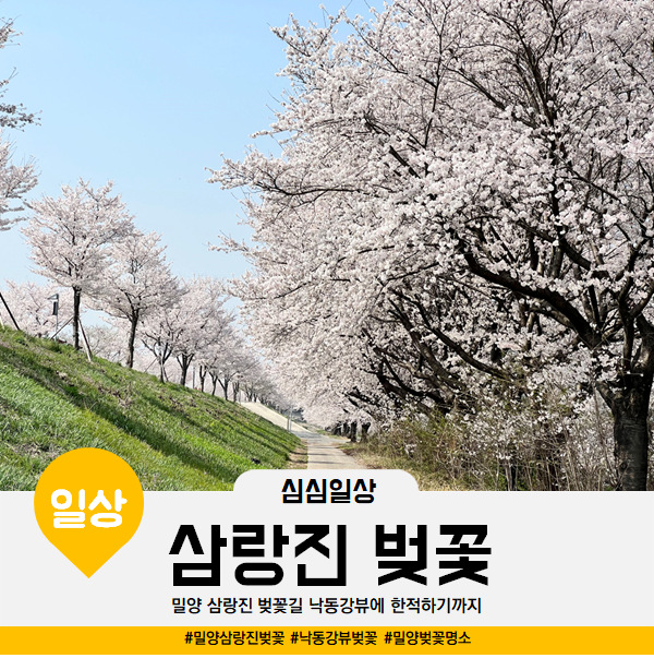  밀양 삼랑진 생태공원 벚꽃길 낙동강뷰 벚꽃명소
