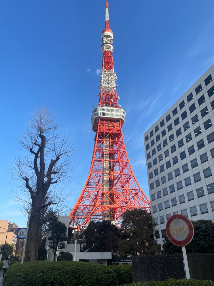 일본 생활 44주차 - 도쿄 여행 2일차 - 5 / 시부야 스카이 , 미야시타공원 , 도쿄타워 , 벚꽃
