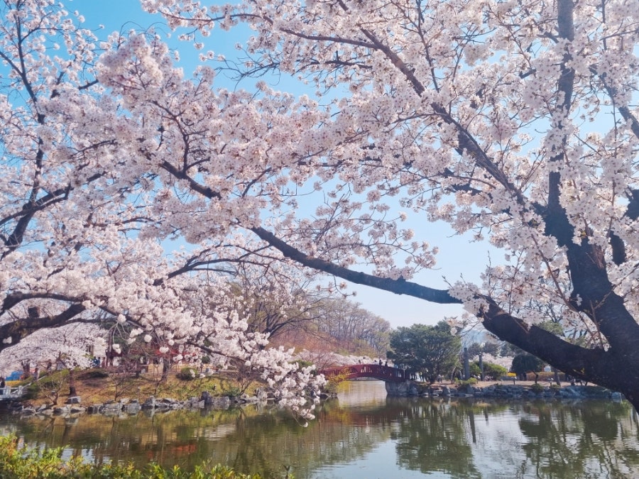 별카페 사진 4