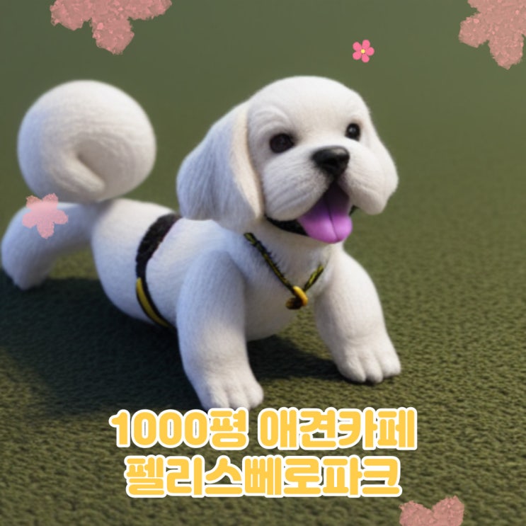  용인애견카페 반려견 사과 먹어도 될까?