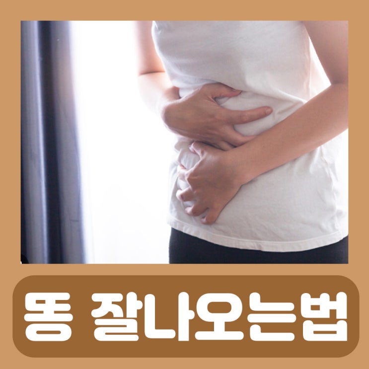  관장부작용 관장하는법 변비 관장 똥 안나올때 잘나오는 자세 잘싸는법 하루 대변 횟수