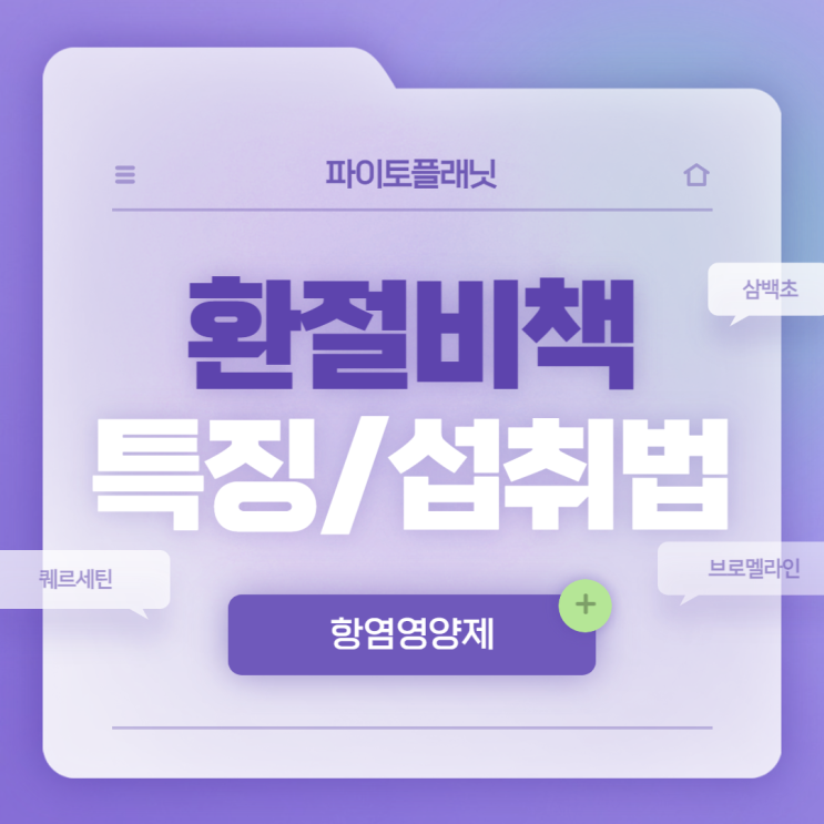  항염영양제 : 환절비책 특징 및 섭취방법 【#퀘르세틴 #브로멜라인 #삼백초 #프로폴리스】