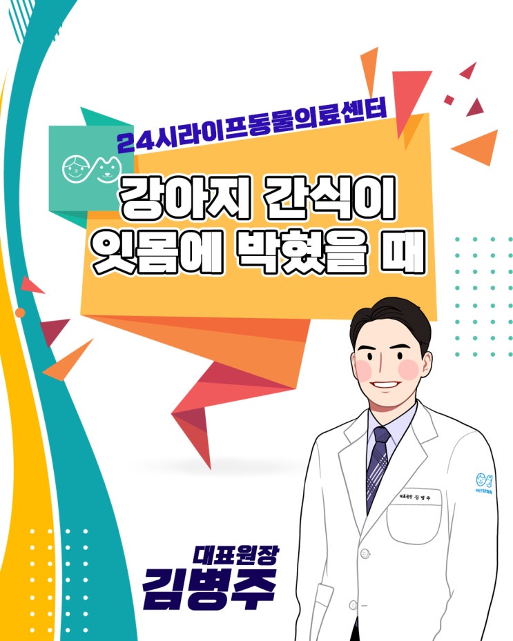 대구24시동물병원 강아지 응급진료 강아지 간식이 잇몸에 박혔을 때 어떻게 하나요?