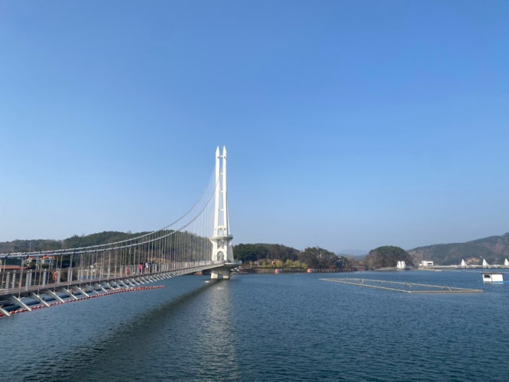  예산 예당 저수지 벚꽃 관람 출렁다리 모노레일 구경하기