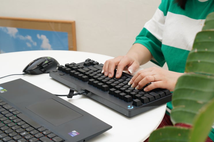  텐키리스 기계식 키보드, 로지텍 G PRO GX BLUE 체험해본 후기