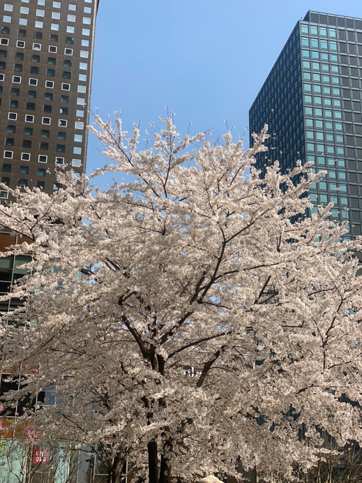 우울한 날엔
