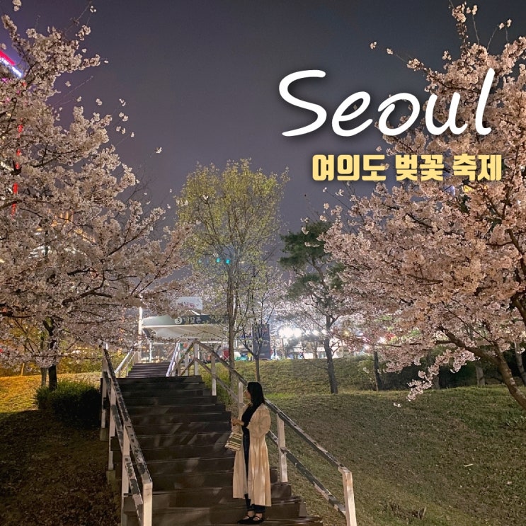  여의도 윤중로 벚꽃 개화 상황 및 주차장 정보