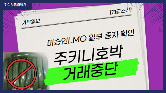 [가락시장 유통소식] 주키니호박 거래 전면 중단!