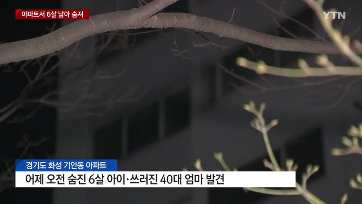 경기 화성 6세 남아 숨진 채 발견 친모 살해뒤 극단적 선택 추정 경찰조사 경기 화성 6세 남아 숨진 채 발견 친모 살해뒤 극단적 선택 추정 경찰조사