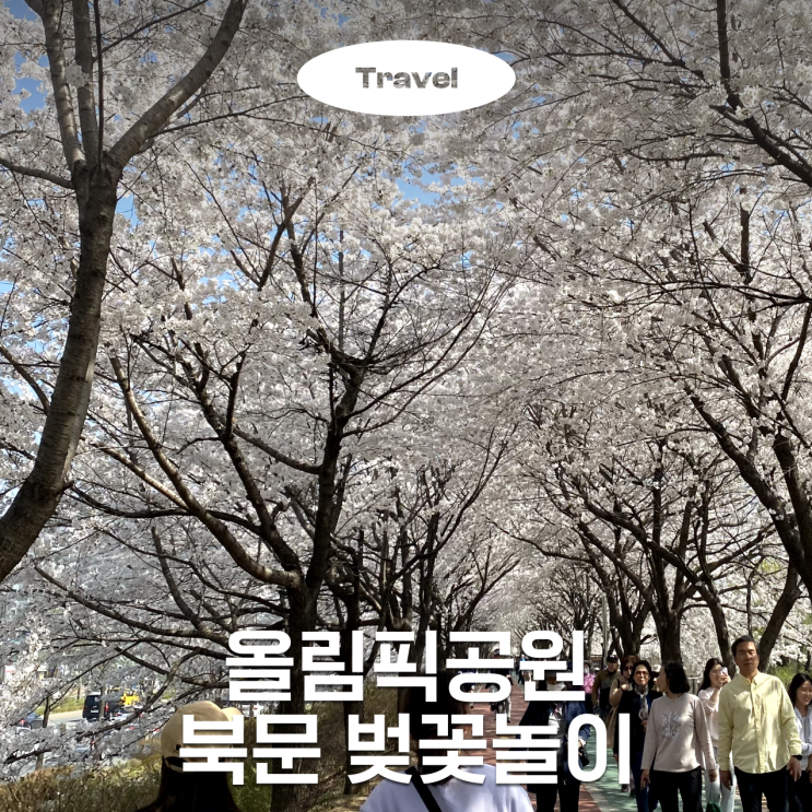  2023 올림픽공원 벚꽃 실시간 근황, 피크는 이번 주!