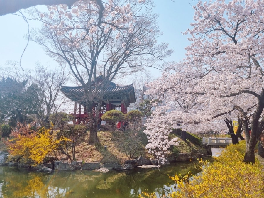 별카페 사진 5