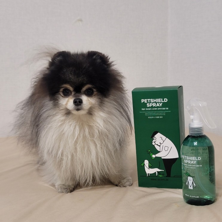 강아지 탈취제 소변냄새 제거하는 강아지 용품 추천