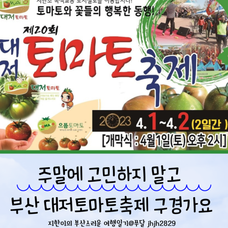  주말에 고민하지 말고 부산 대저토마토축제 다녀오려고요