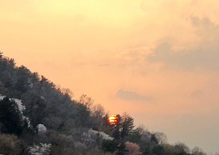  눈짓 - 화수필, 마음, 엉어리, 노심초사