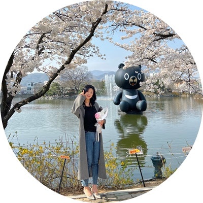  김천 연화지 벚꽃 명소 만개 실시간 개화현황 딱 예뻐